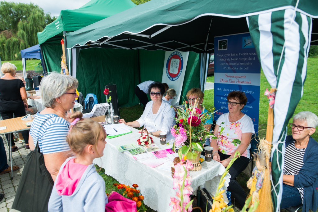 Korso 2016 na pilskiej Wyspie