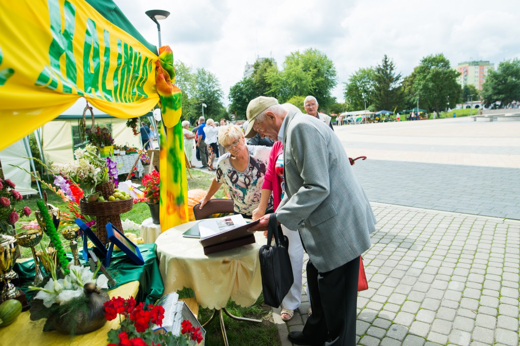 Korso 2016 na pilskiej Wyspie