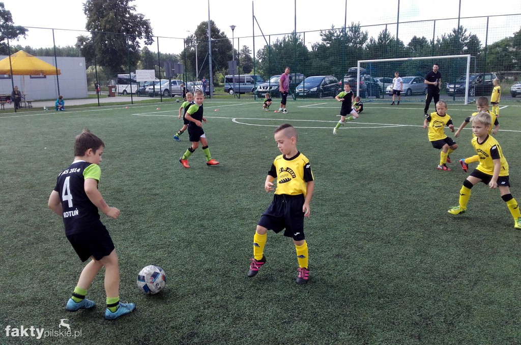 III turniej Orlik 2016 w Kotuniu