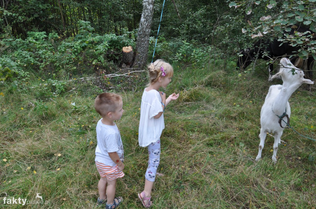 Międzynarodowy Konkurs Gotowania