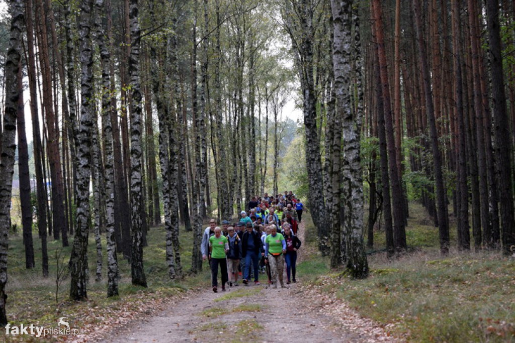Rajd Graniczny Nordic Walking 2016