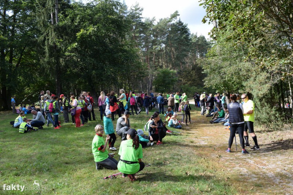 Rajd Graniczny Nordic Walking 2016