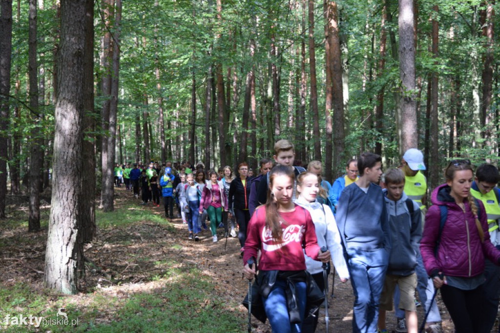 Rajd Graniczny Nordic Walking 2016