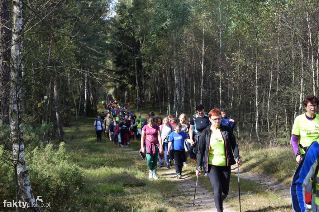 Rajd Graniczny Nordic Walking 2016