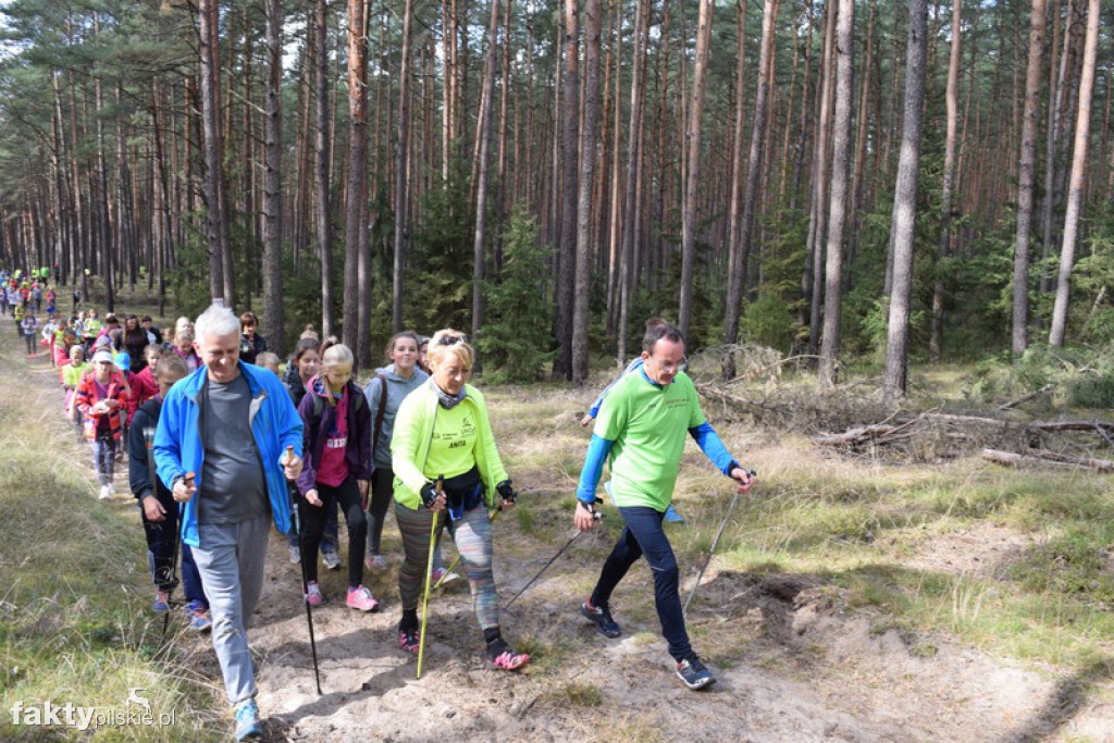 Rajd Graniczny Nordic Walking 2016