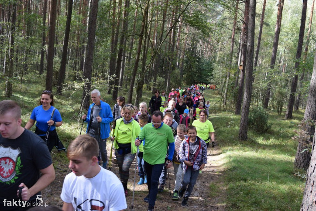 Rajd Graniczny Nordic Walking 2016