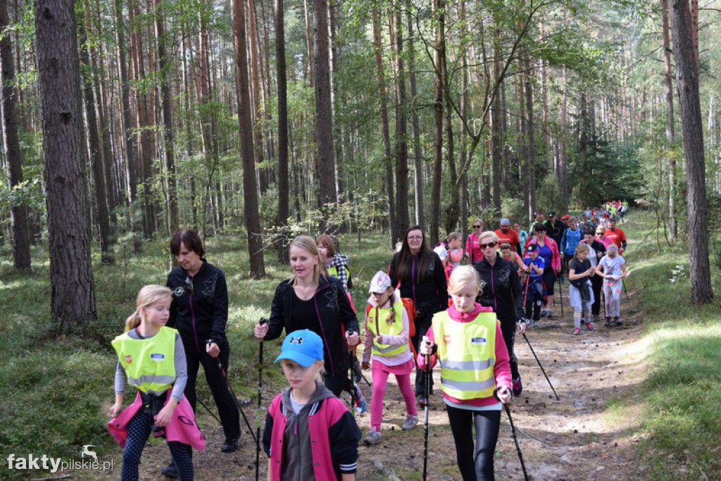 Rajd Graniczny Nordic Walking 2016