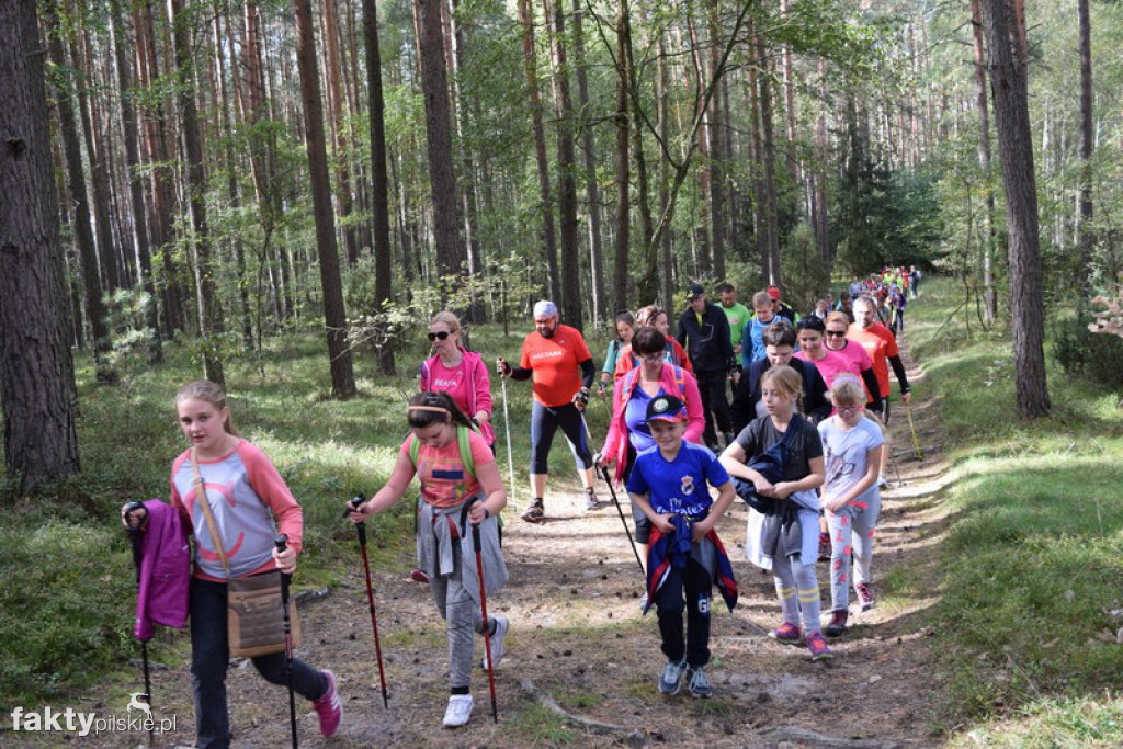 Rajd Graniczny Nordic Walking 2016