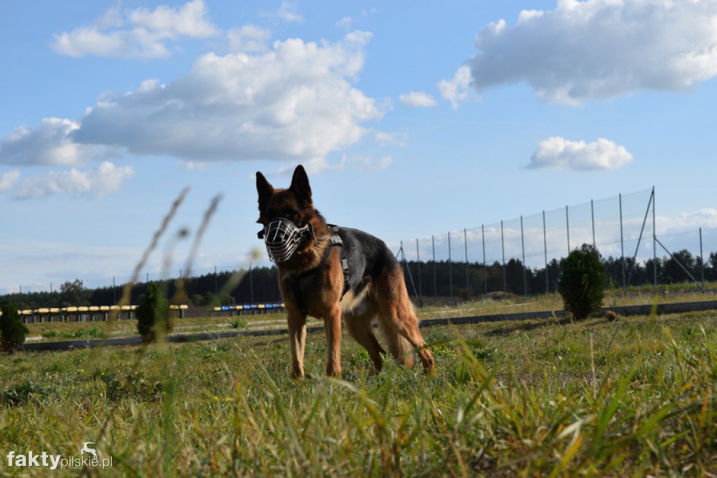 Rajd Graniczny Nordic Walking 2016