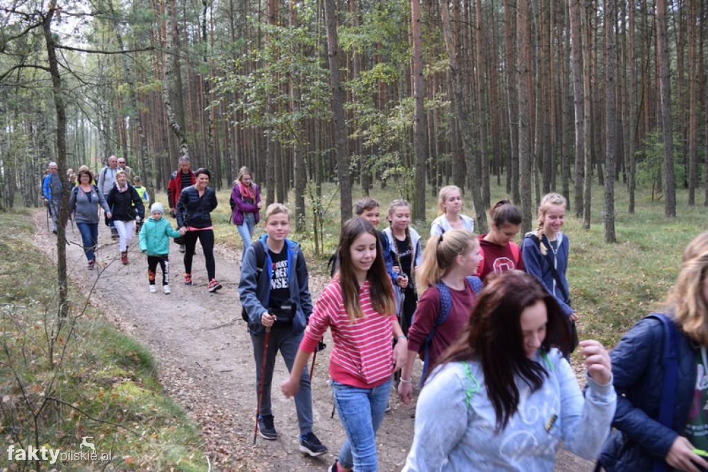 Rajd Graniczny Nordic Walking 2016