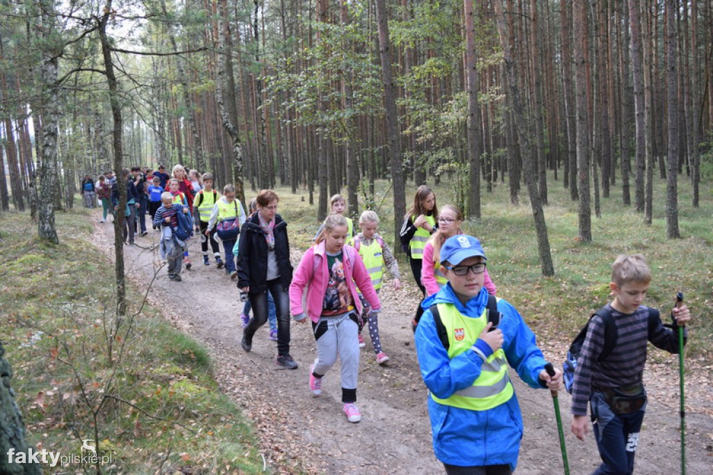 Rajd Graniczny Nordic Walking 2016