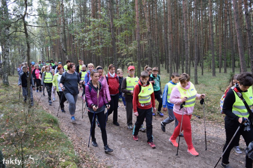 Rajd Graniczny Nordic Walking 2016