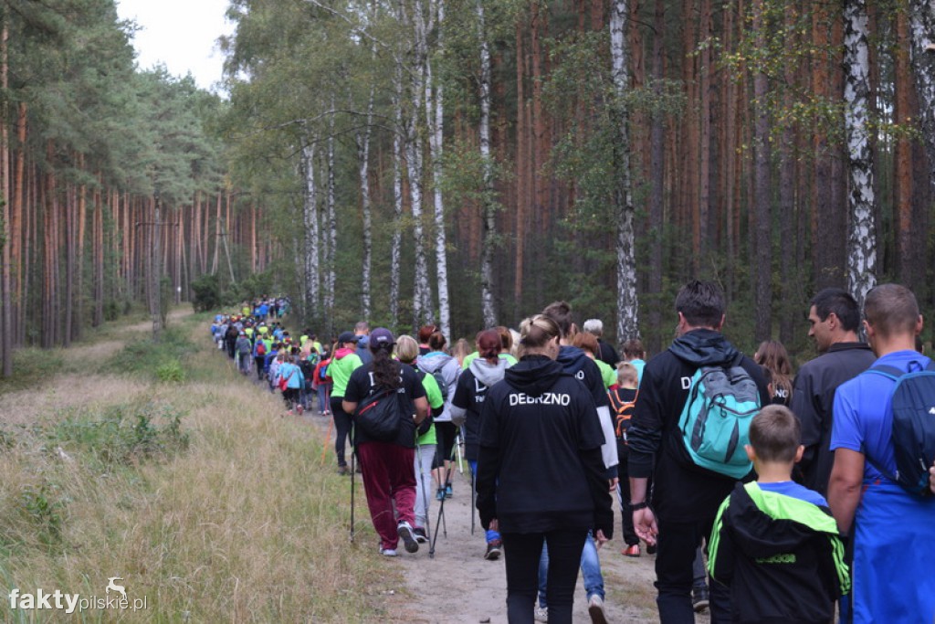 Rajd Graniczny Nordic Walking 2016