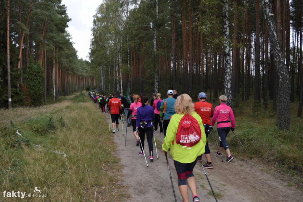 Rajd Graniczny Nordic Walking 2016