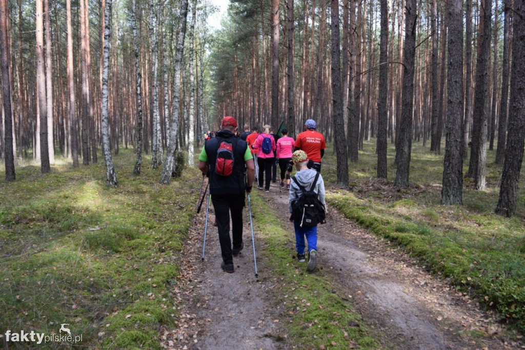 Rajd Graniczny Nordic Walking 2016