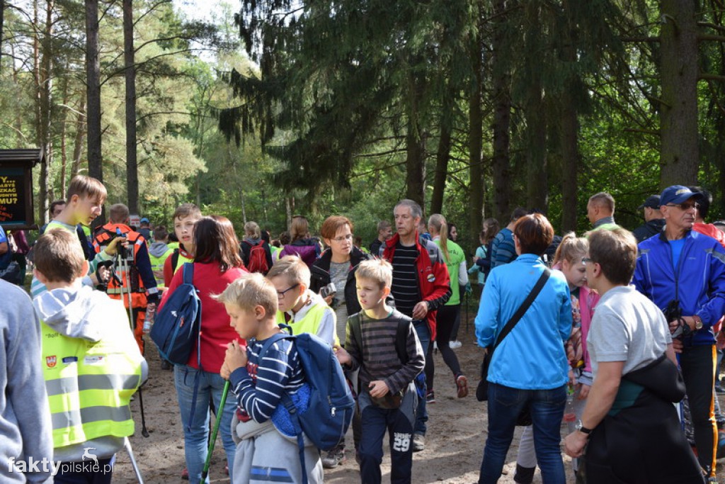 Rajd Graniczny Nordic Walking 2016