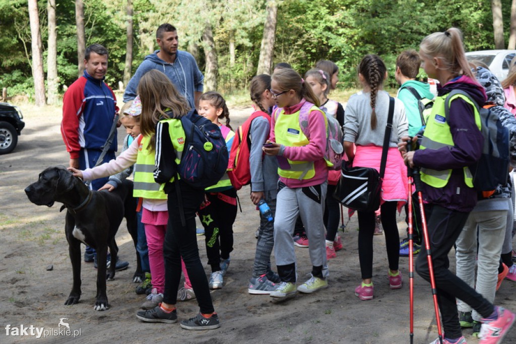 Rajd Graniczny Nordic Walking 2016