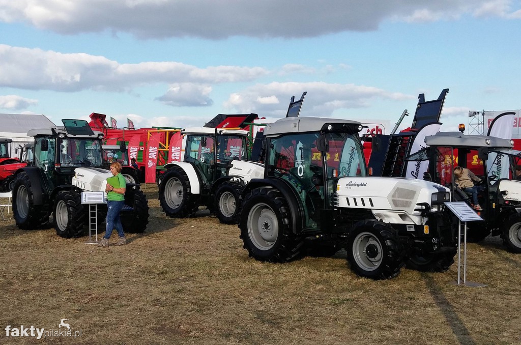 XVIII Agro-show w Bednarach