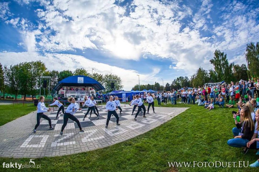 DOBROfest 2016 w Chodzieży