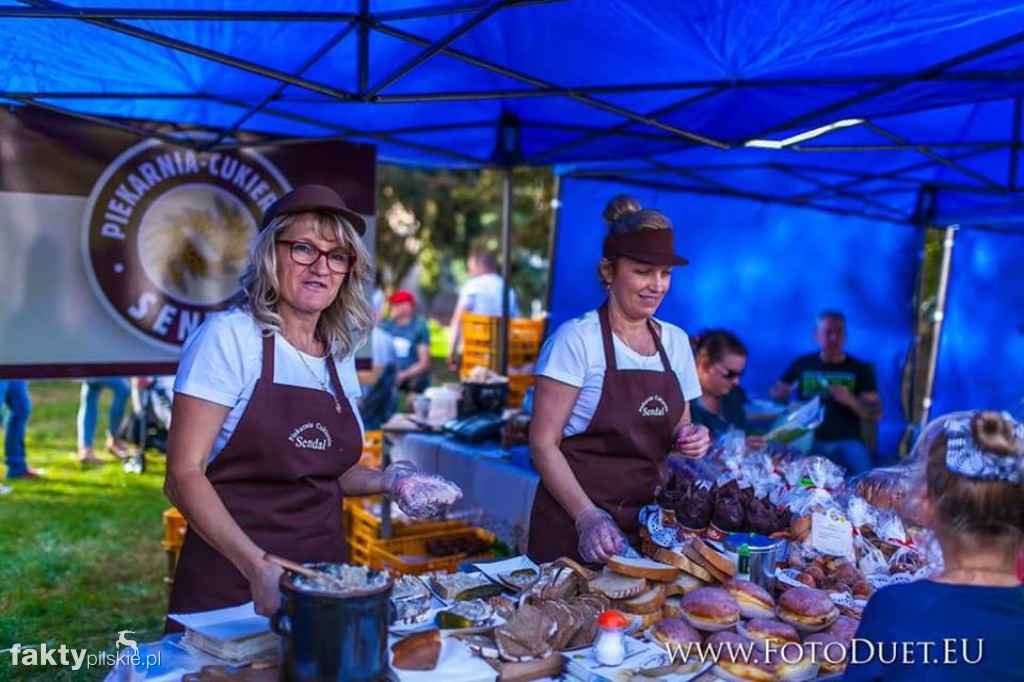 DOBROfest 2016 w Chodzieży