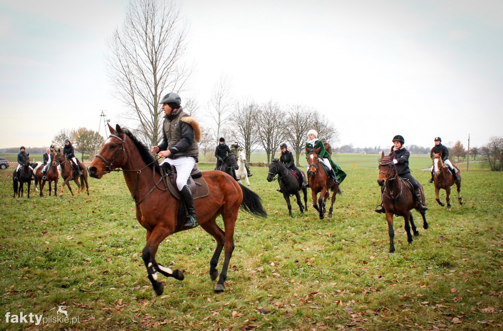 Hubertus w Górce Klasztornej