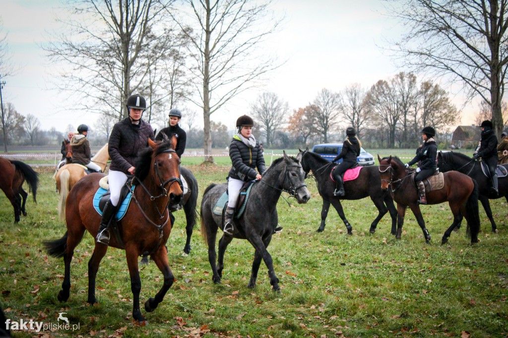 Hubertus w Górce Klasztornej
