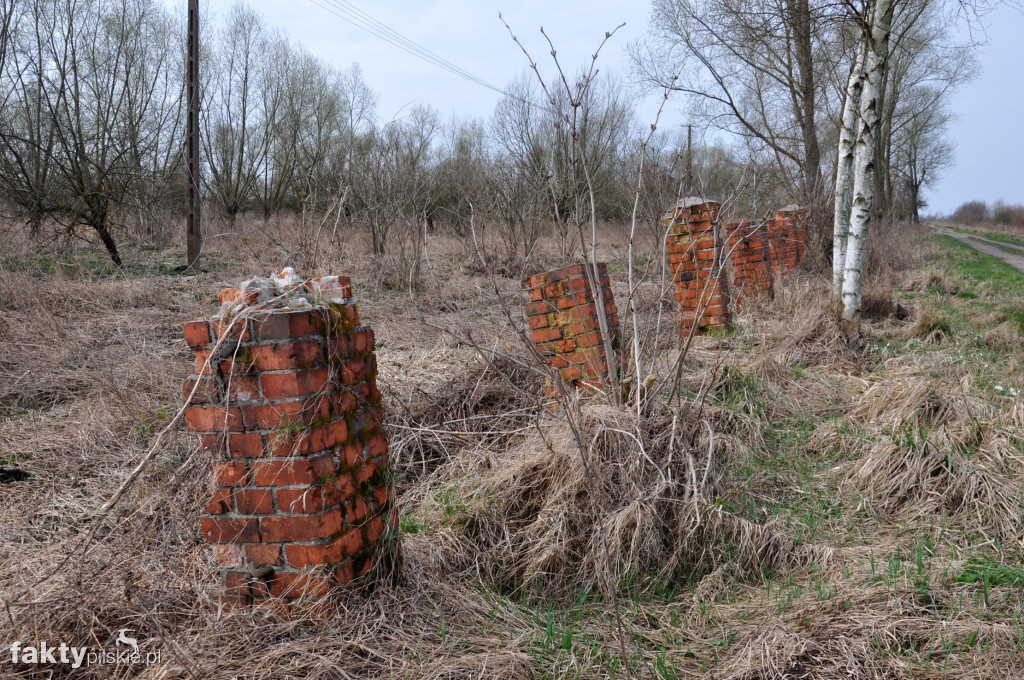 Czwarty dom w Wyciągu