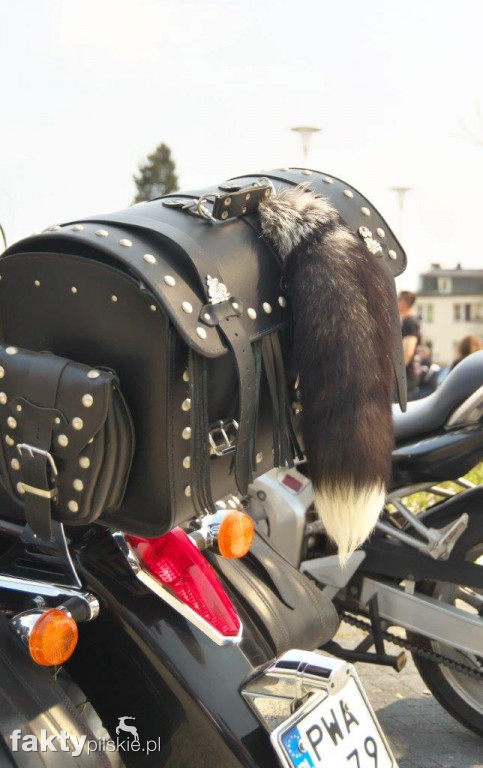 Motomarzanna 2017 w Pile