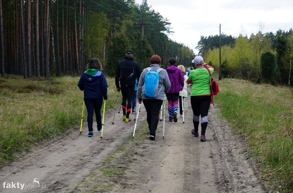 Nordic Walking po leśnych duktach