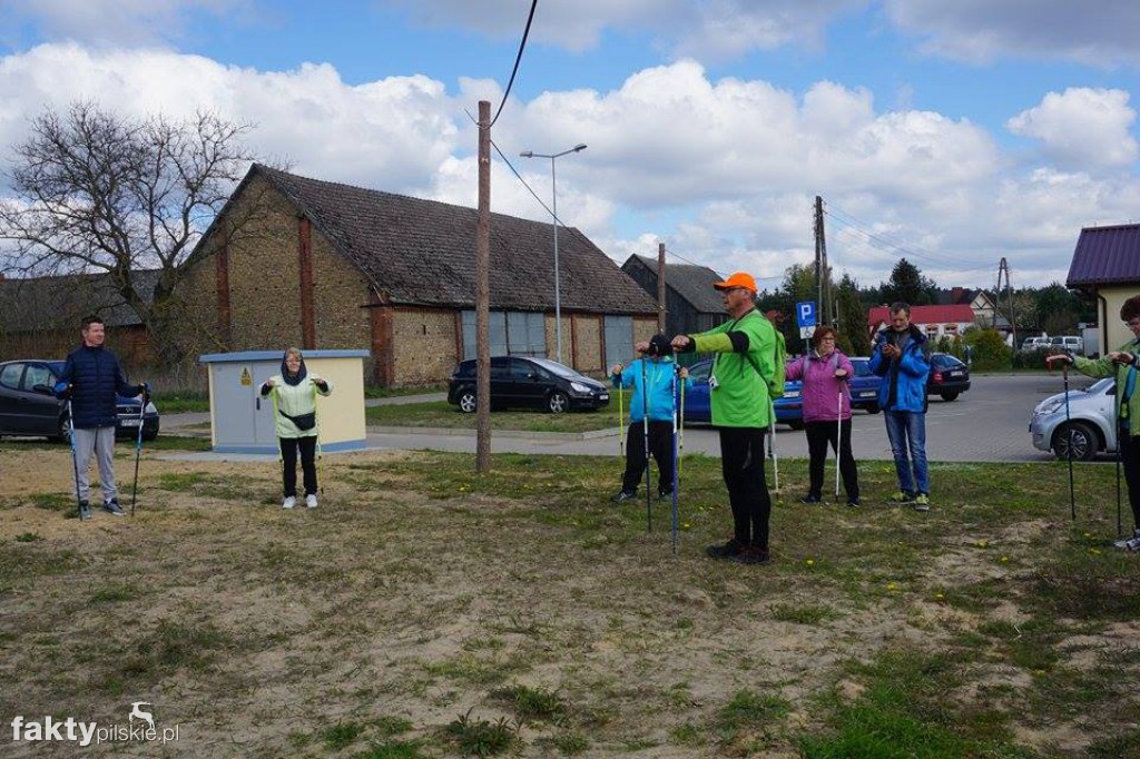 Nordic Walking po leśnych duktach