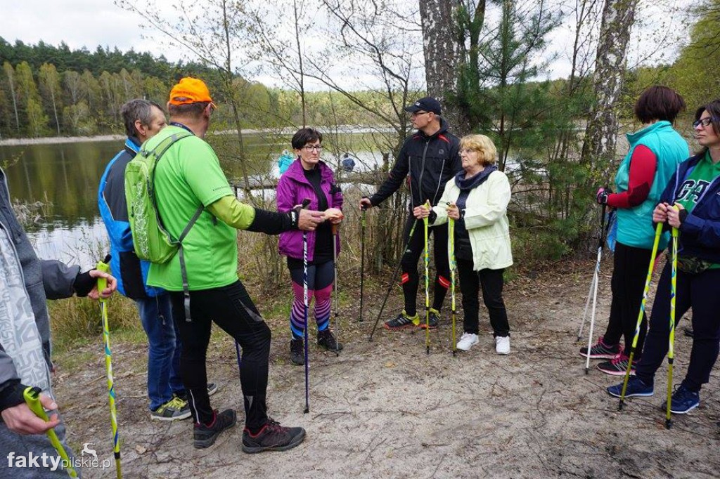 Nordic Walking po leśnych duktach