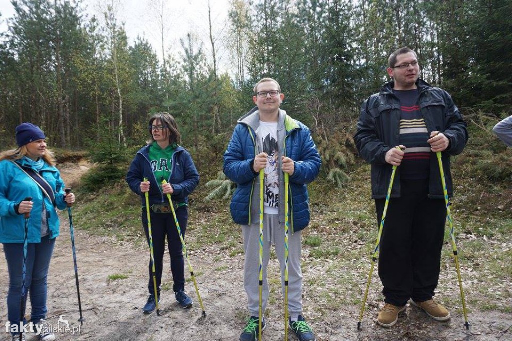 Nordic Walking po leśnych duktach