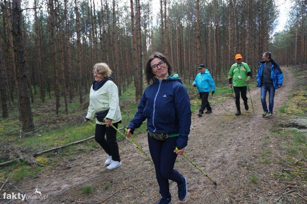 Nordic Walking po leśnych duktach