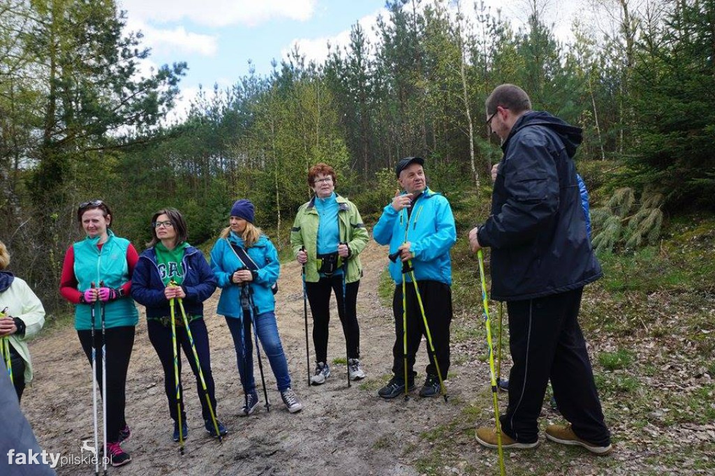 Nordic Walking po leśnych duktach