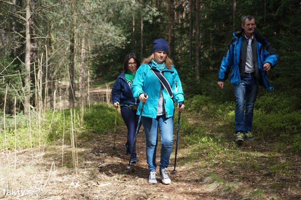 Nordic Walking po leśnych duktach