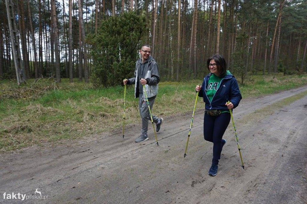 Nordic Walking po leśnych duktach