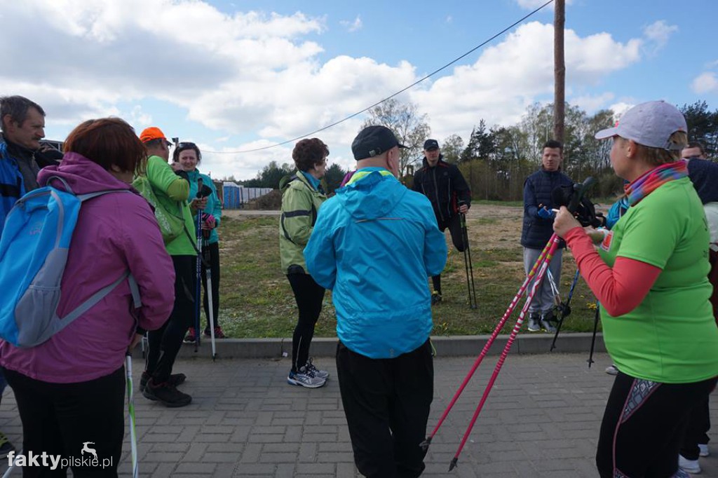 Nordic Walking po leśnych duktach
