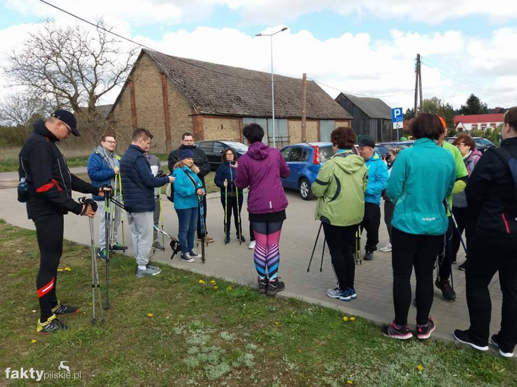 Nordic Walking po leśnych duktach