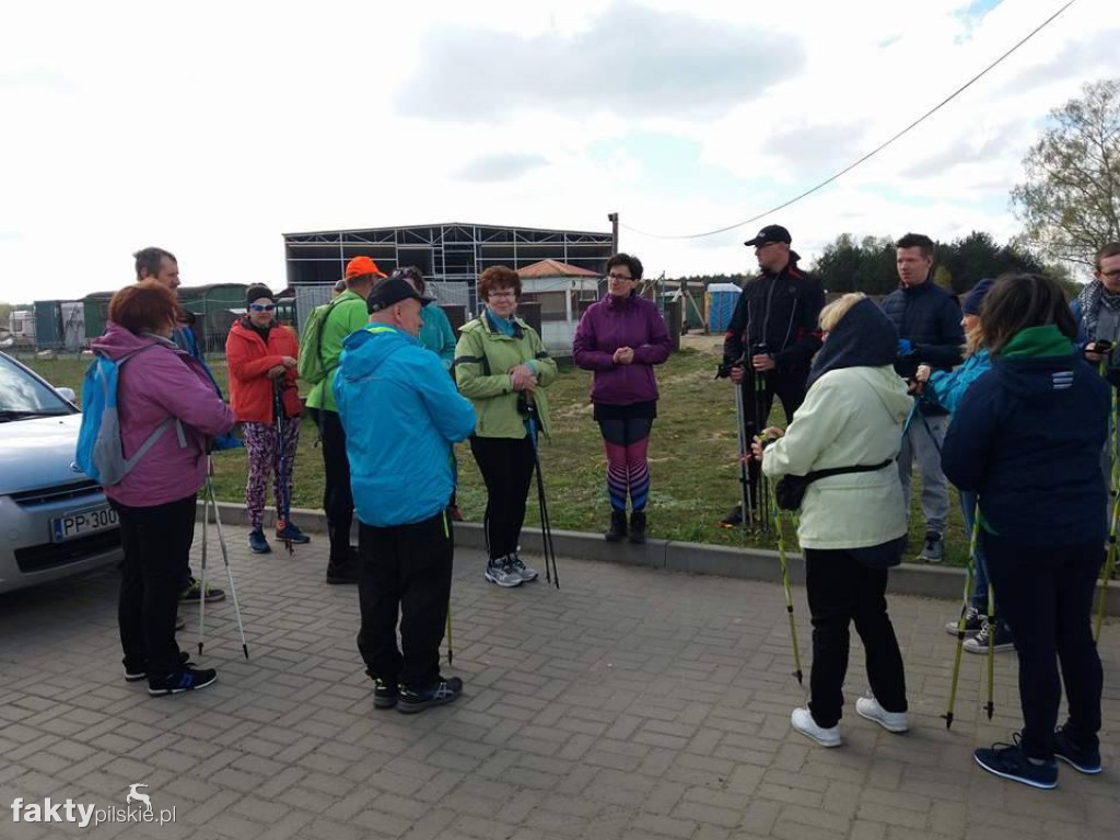 Nordic Walking po leśnych duktach