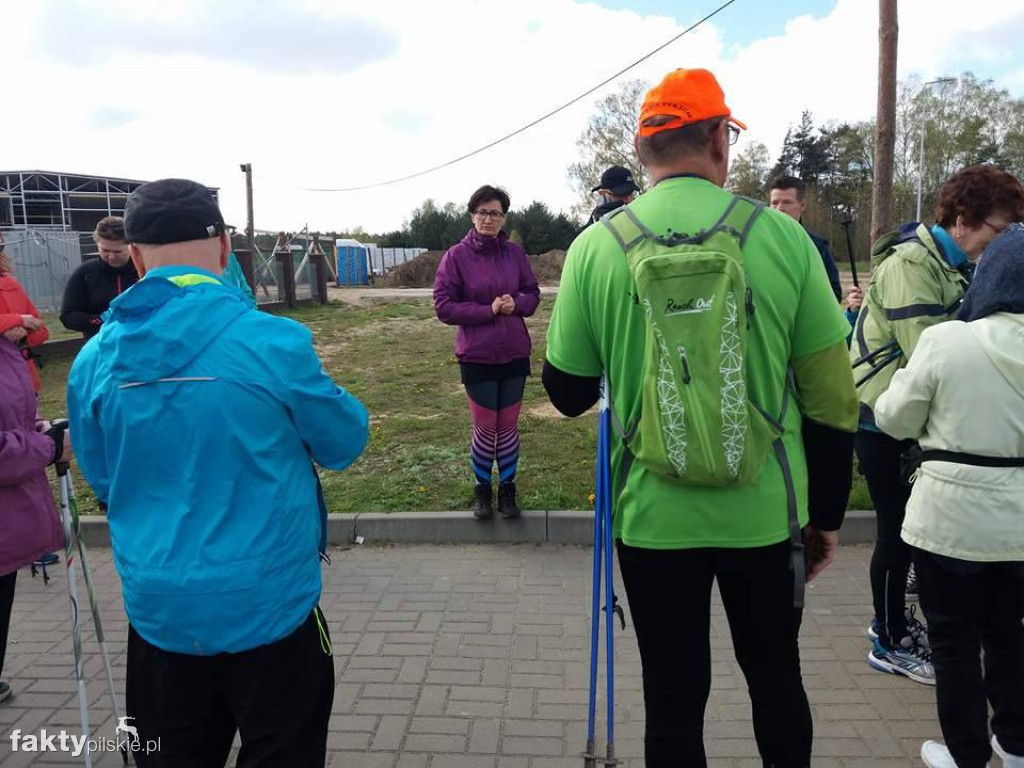 Nordic Walking po leśnych duktach