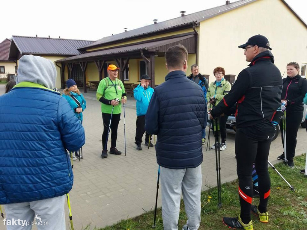 Nordic Walking po leśnych duktach