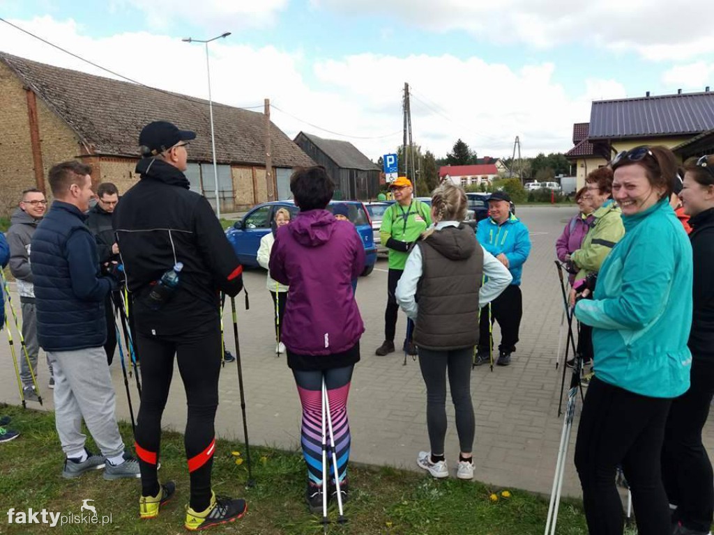 Nordic Walking po leśnych duktach