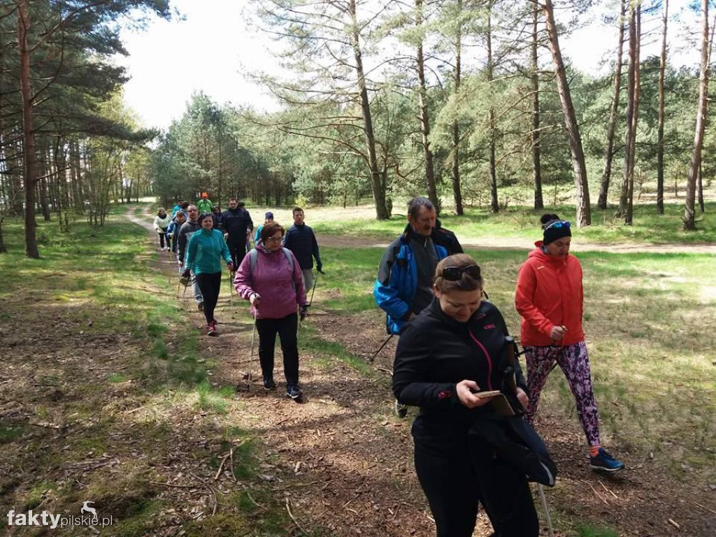 Nordic Walking po leśnych duktach