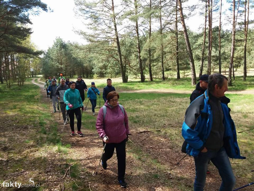 Nordic Walking po leśnych duktach