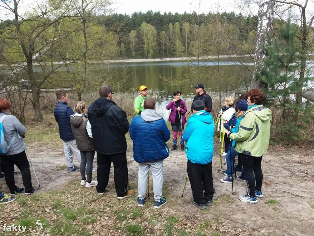 Nordic Walking po leśnych duktach