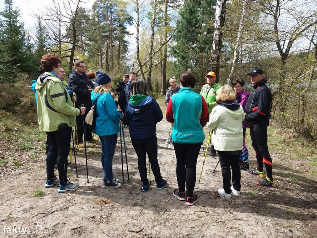 Nordic Walking po leśnych duktach
