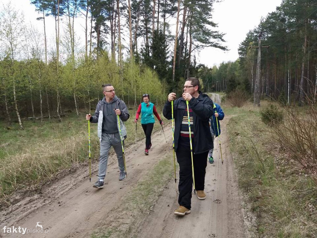 Nordic Walking po leśnych duktach