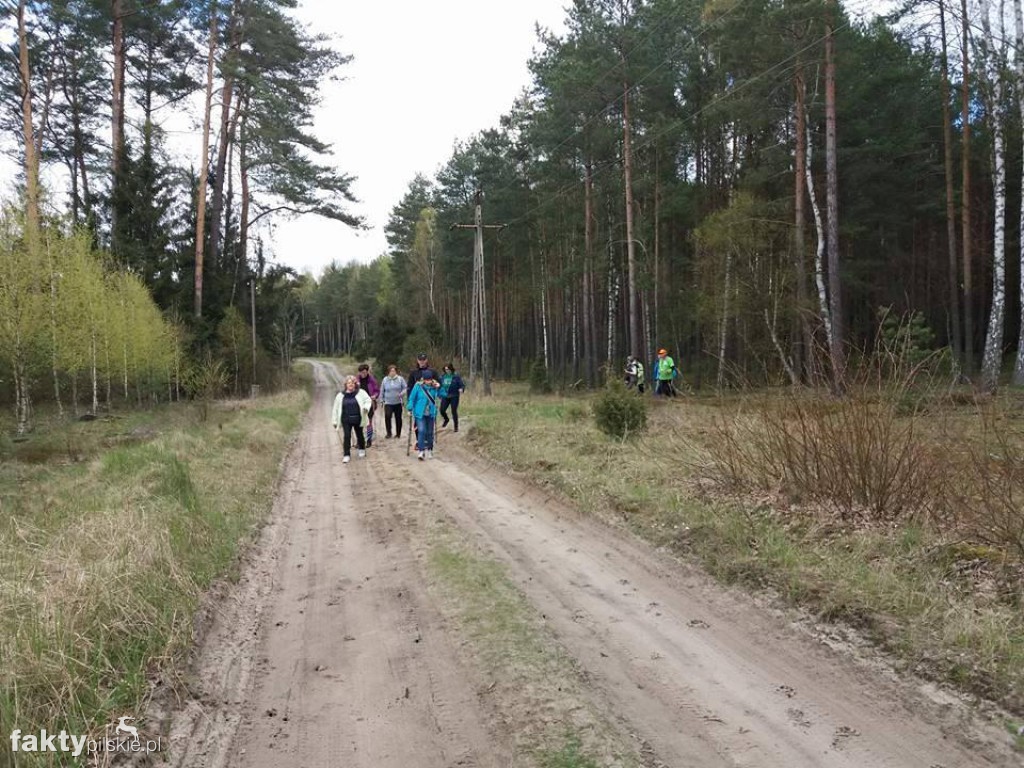 Nordic Walking po leśnych duktach