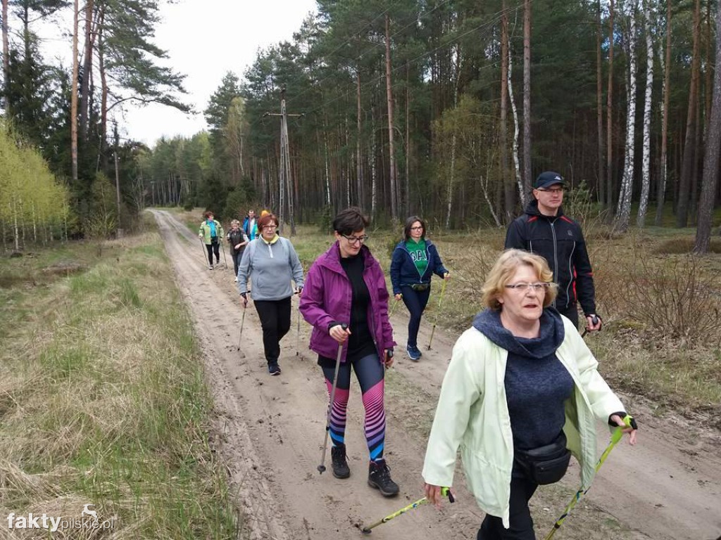 Nordic Walking po leśnych duktach