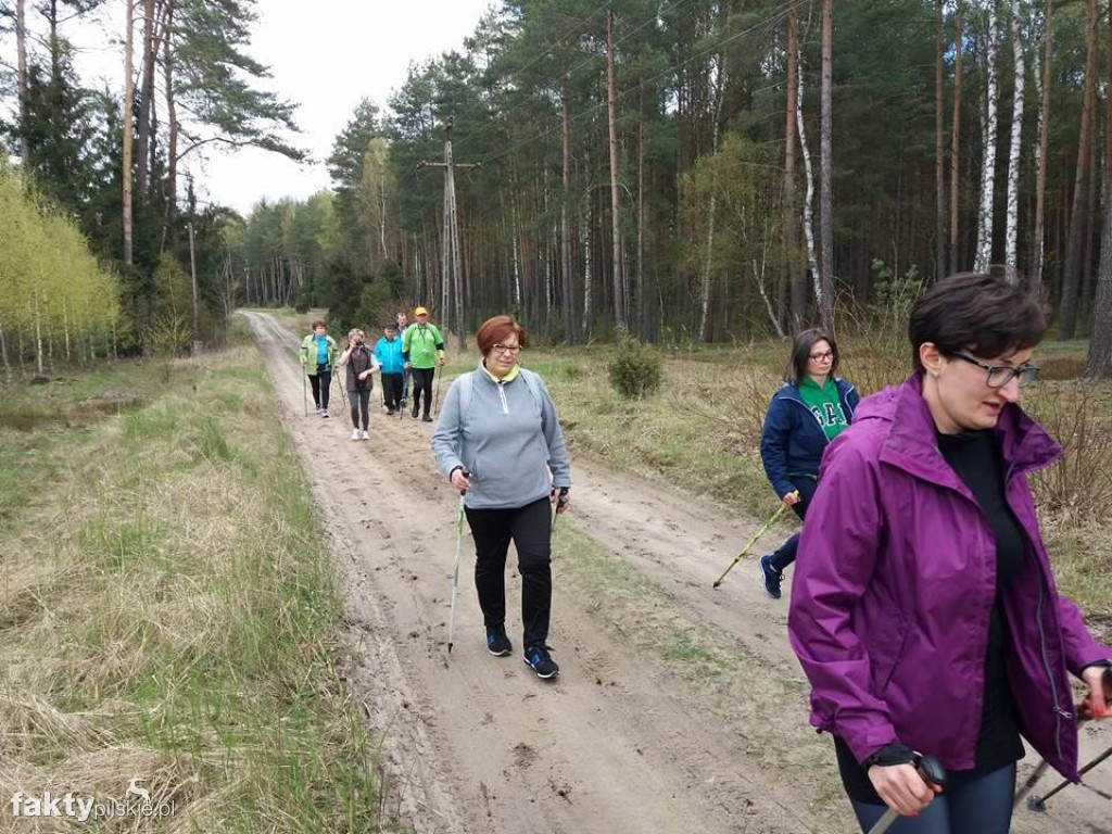 Nordic Walking po leśnych duktach